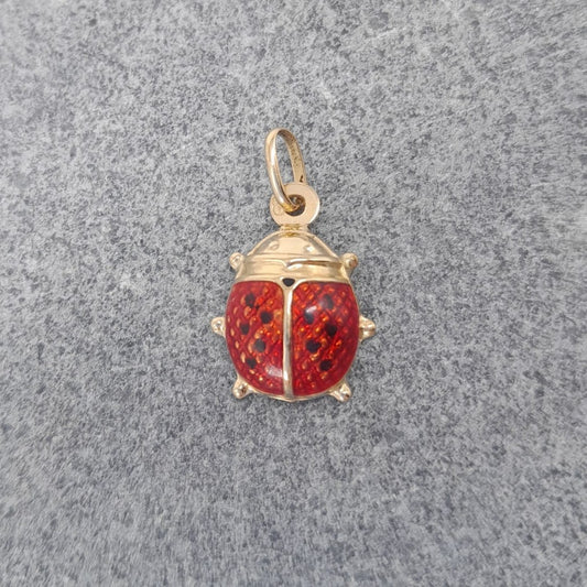 Ciondolo coccinella