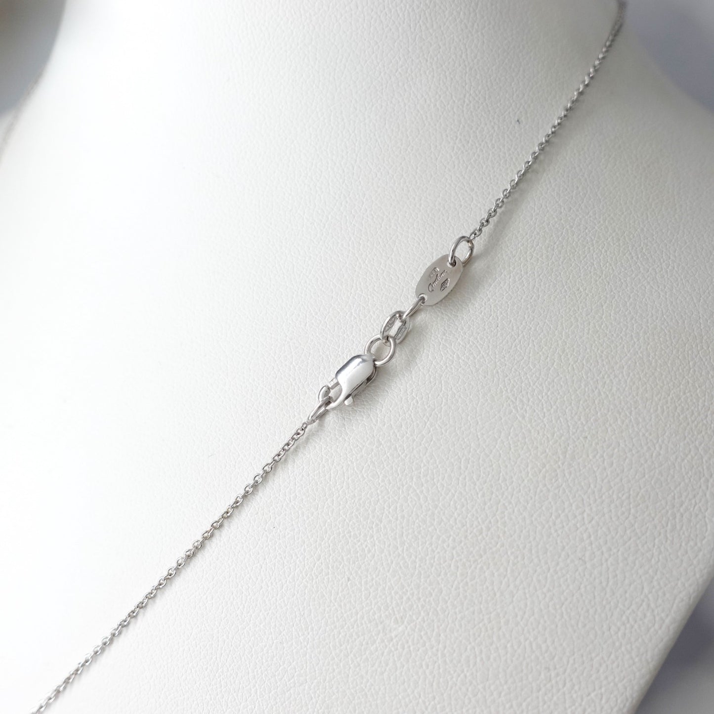 Catenina con pendente