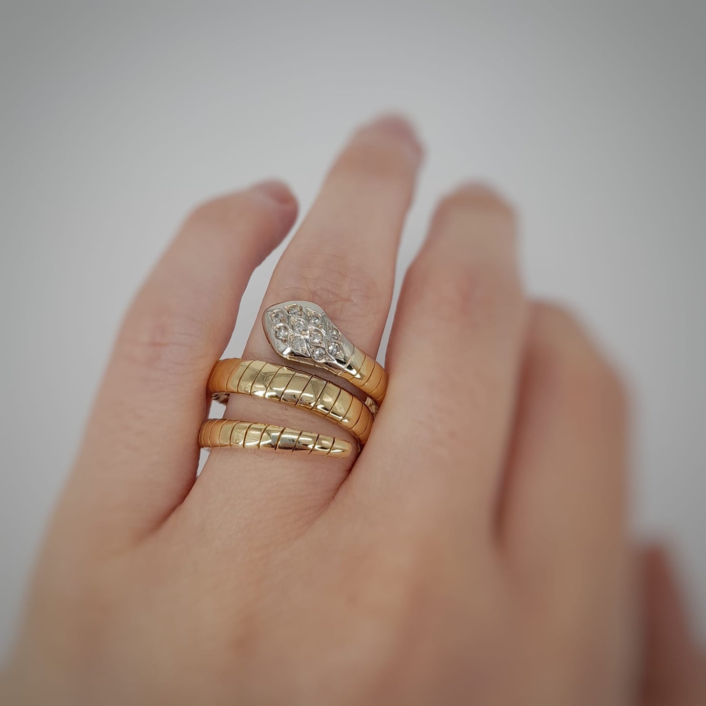 Anello snake