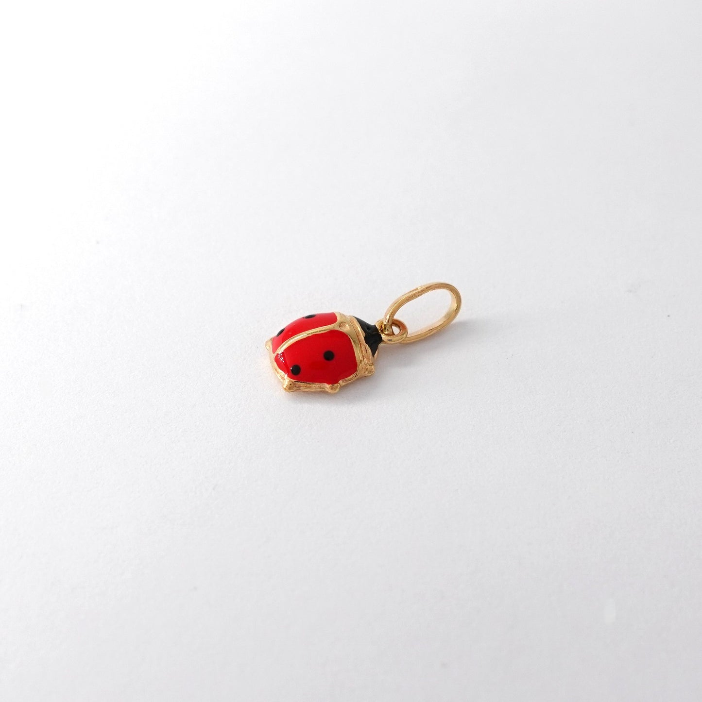 Ciondolo coccinella