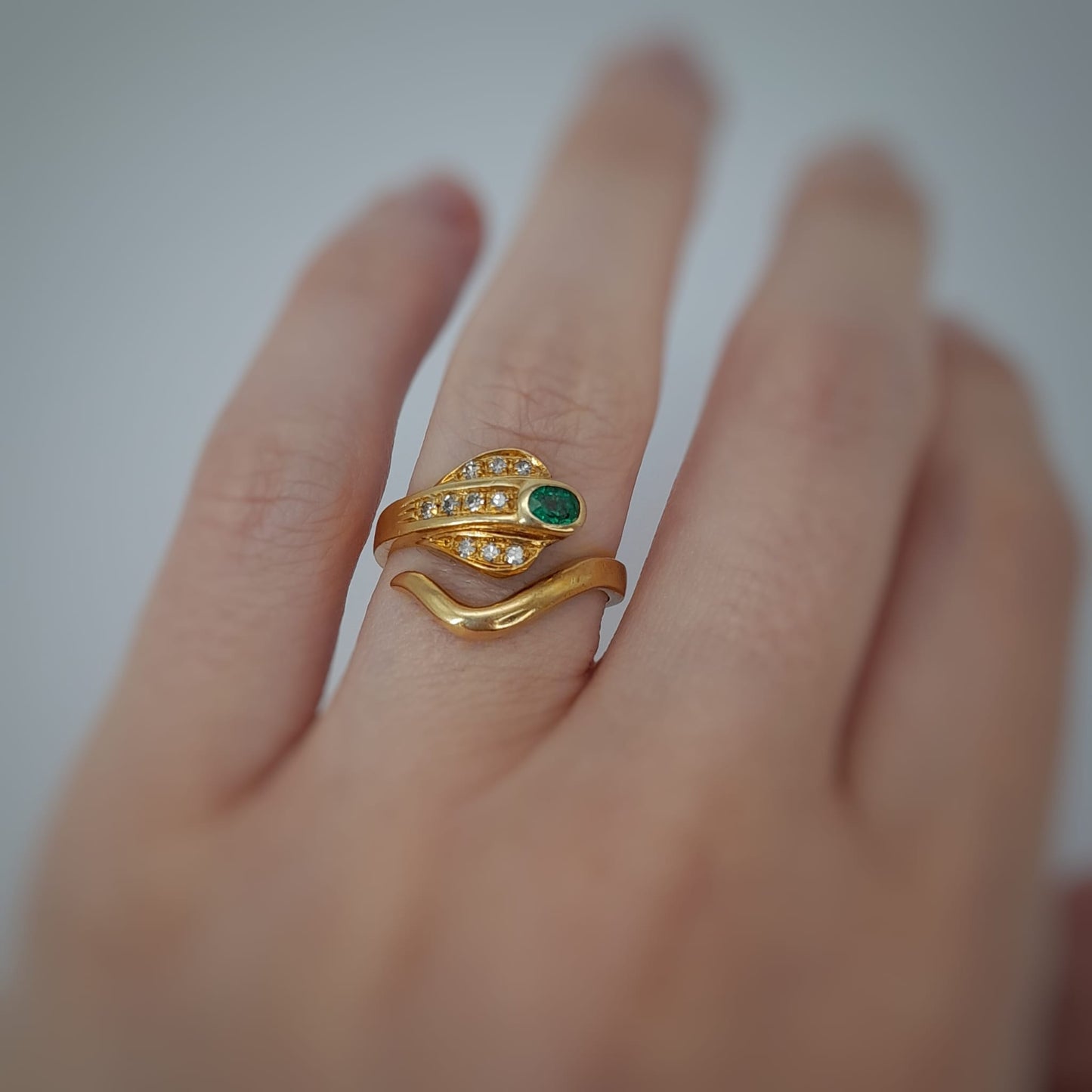 Anello snake